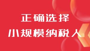 怎么正确选择小规模纳税人或一般纳税人