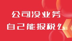 公司暂时没有业务，自己能记账报税吗？